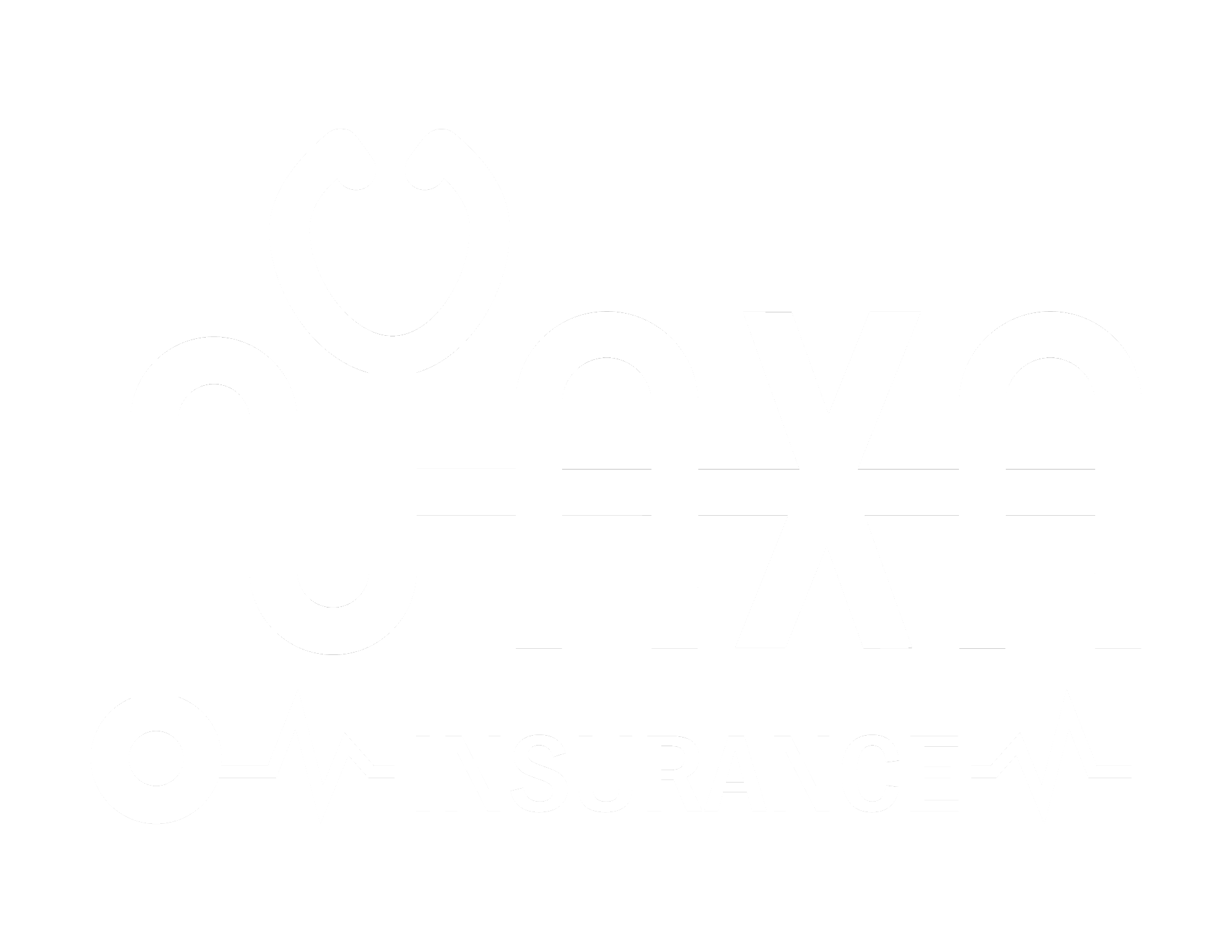 NaxaInsure Logo